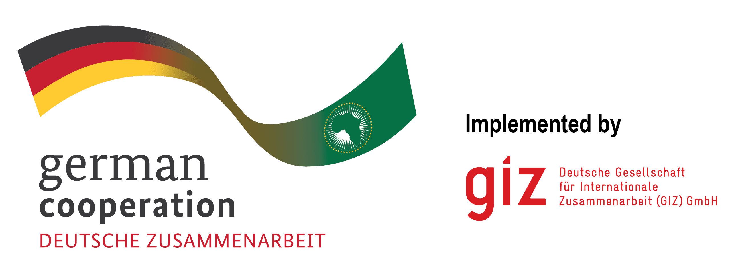 GIZ Logo
